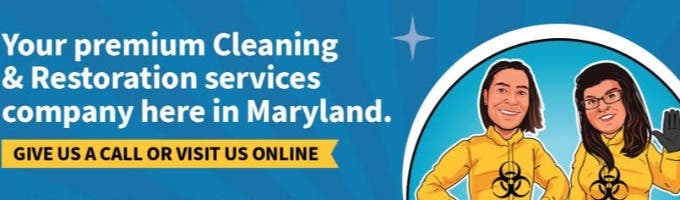 World Star Cleaning Services LLC