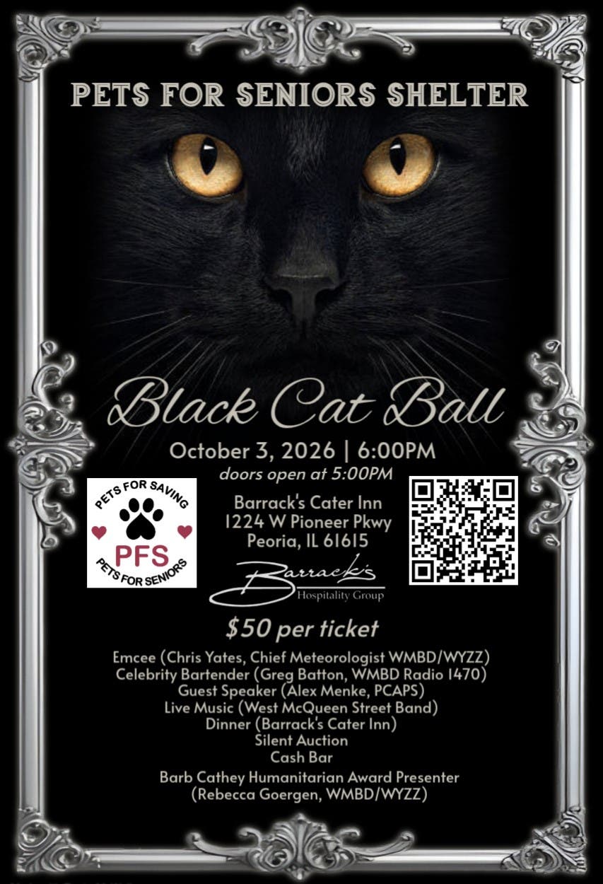Black Cat Ball