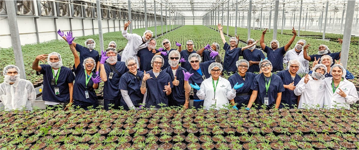 Curaleaf Dispensary Orlando University