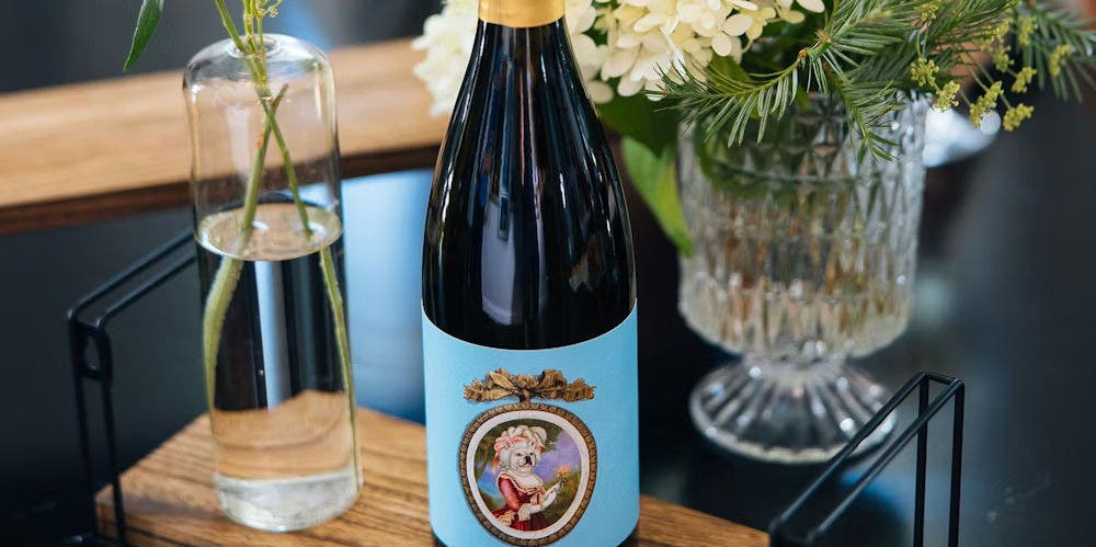 The Dog Days of Summer