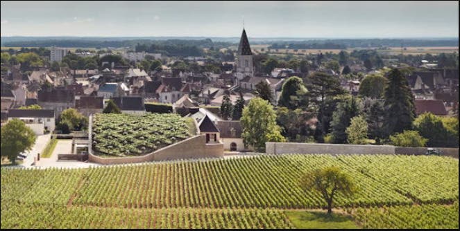 Burgundy Uncorked: The Art of Blind Tasting