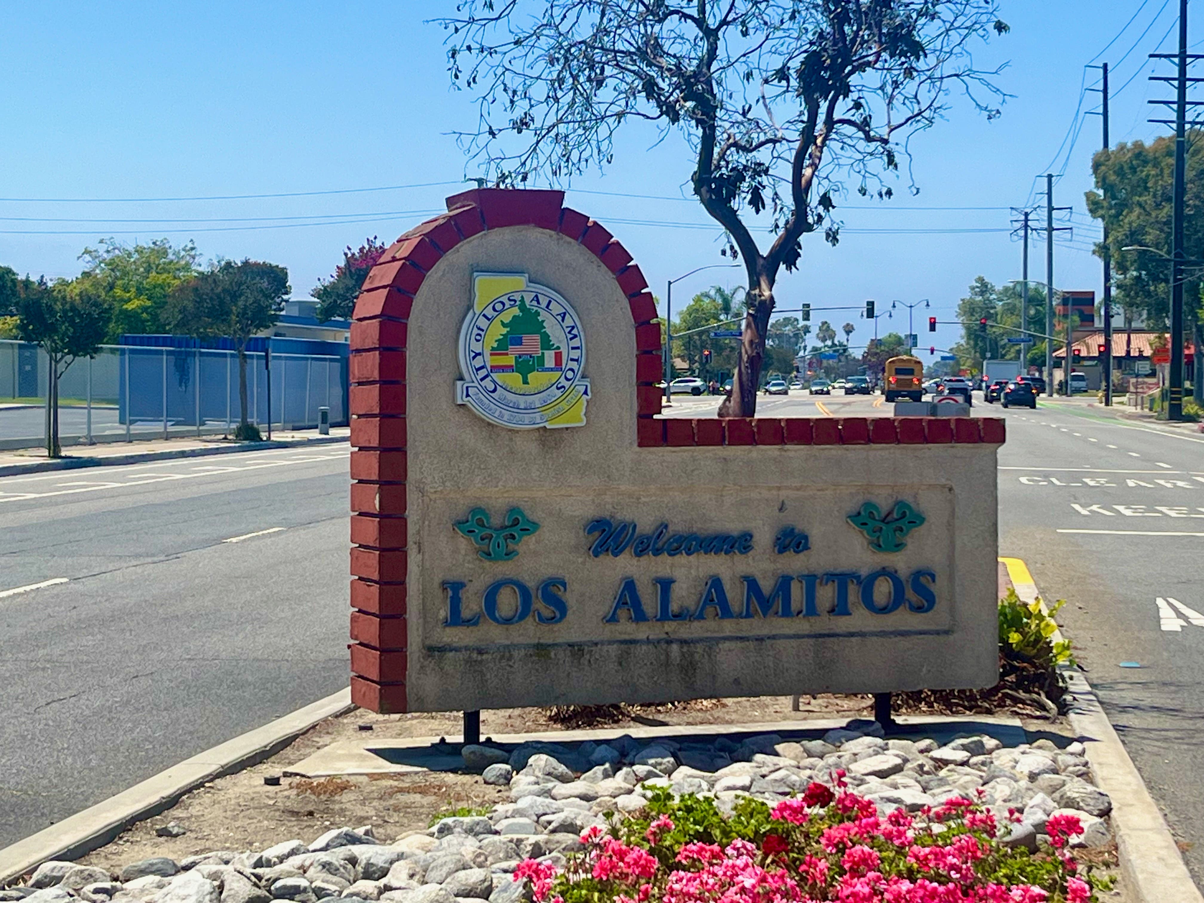 Apostille & Mobile Notary in Los Alamitos: How One Client's Dual Citizenship Dream Became Reality