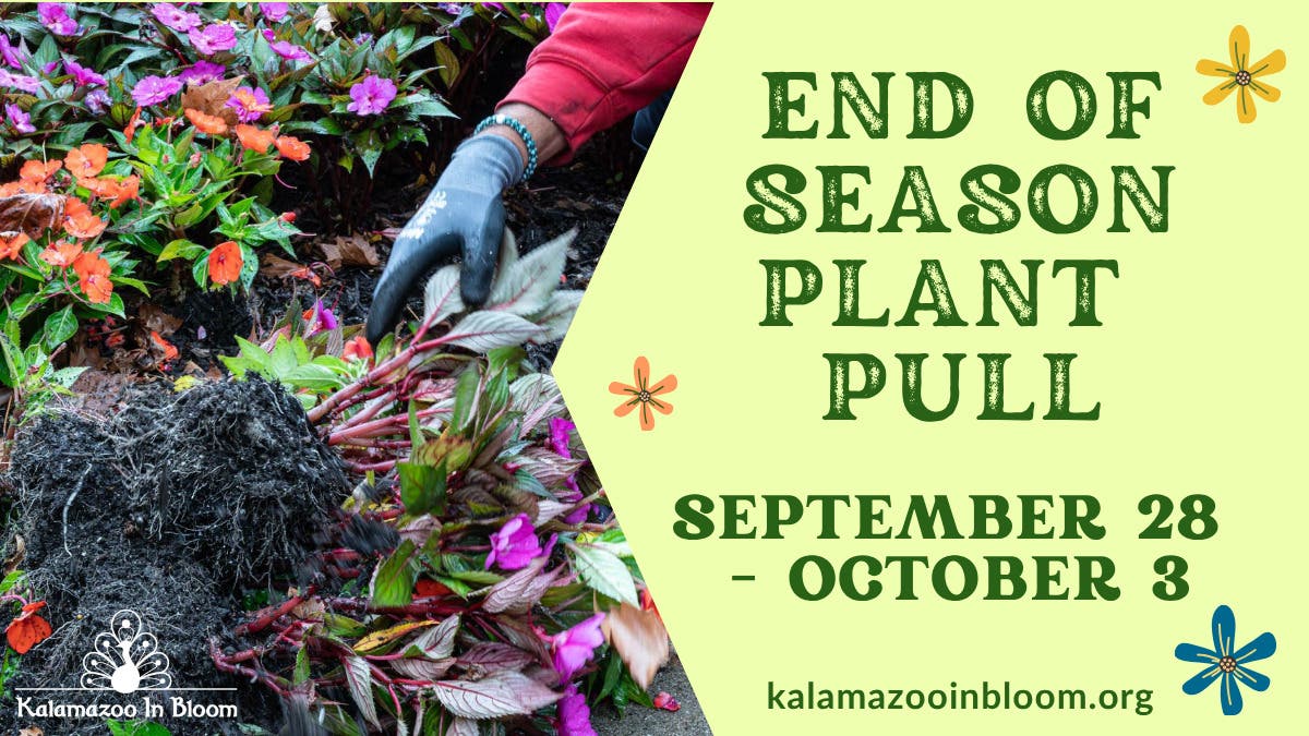 End of Season Plant Pull