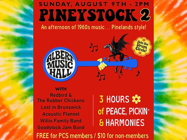 Albert Music Hall - Pineystock 2