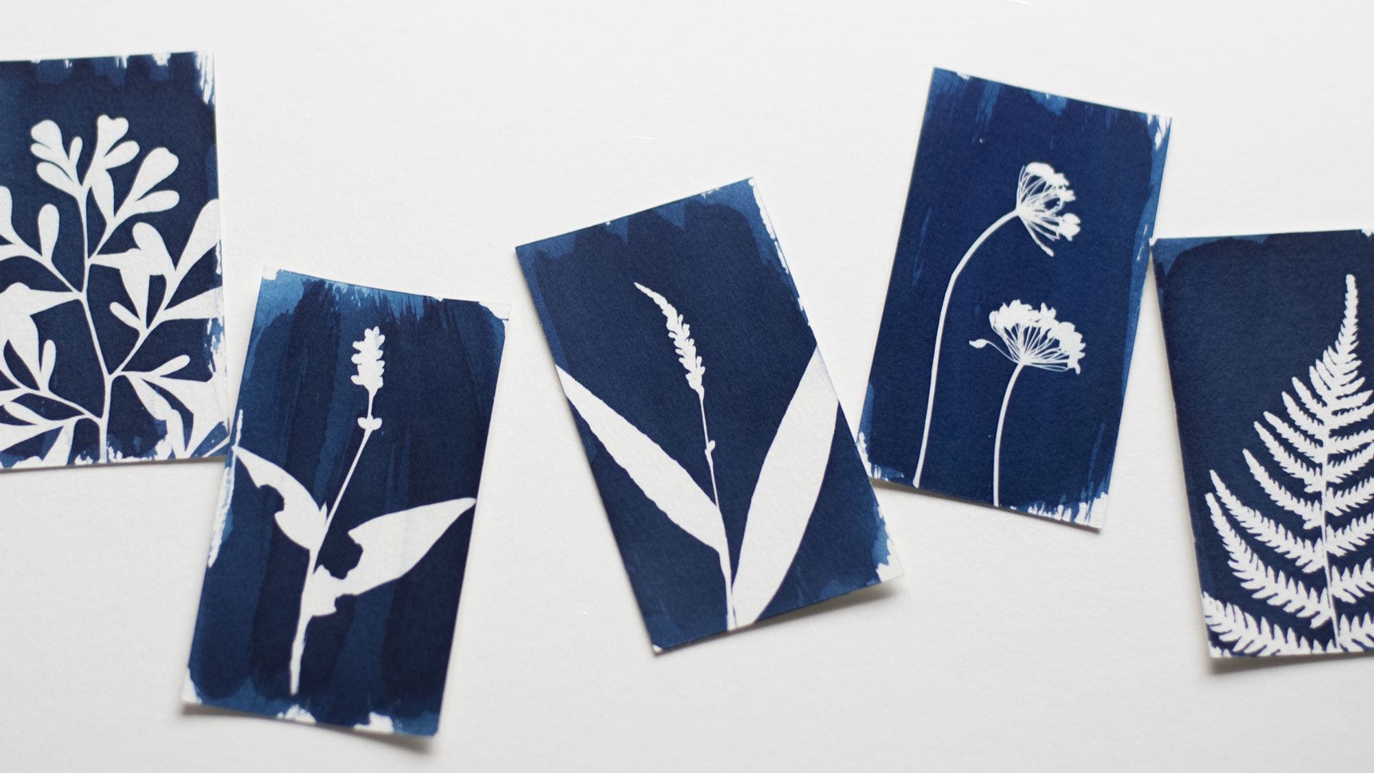 Intro to Cyanotype Printing