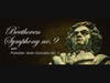 Taconic Opera celebrates Beethoven's 50th Birthday