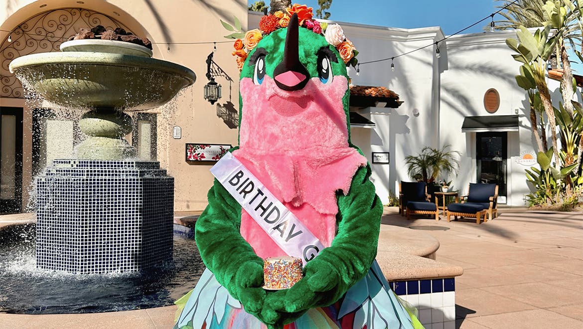 Bloom & Butterflies: A Garden Tea Party