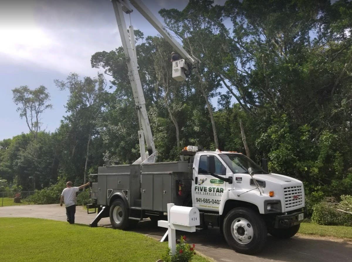 Five Star Tree Service LLC