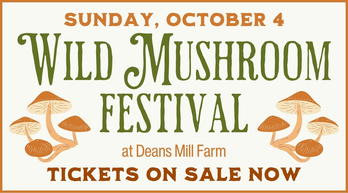 Wild Mushroom Festival