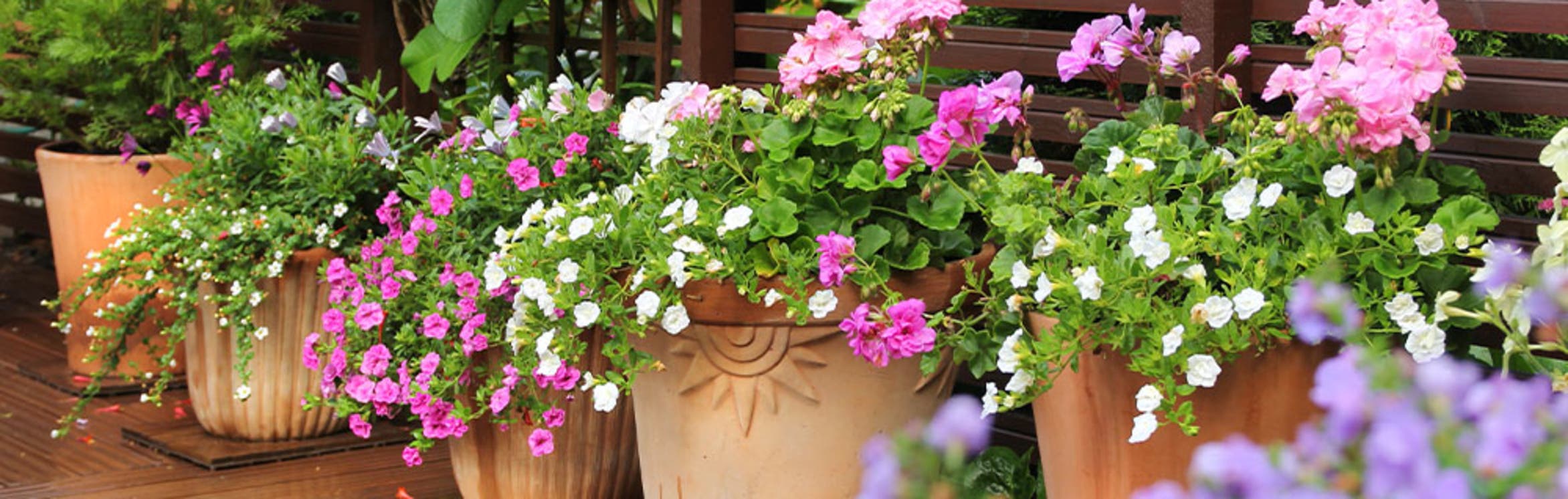 Springtime Planters
