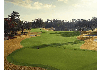 The Fazio Course at Heathrow Legacy Country Club has approximately 100 species of wildlife. The course has been named one of 100 clubs worldwide with Audubon International Signature Sanctuary status. 