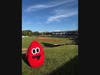 Teaming up to save lives—one drop at a time! 🩸⚾ Catch us at Wintrust Field with the Schaumburg Boomers!