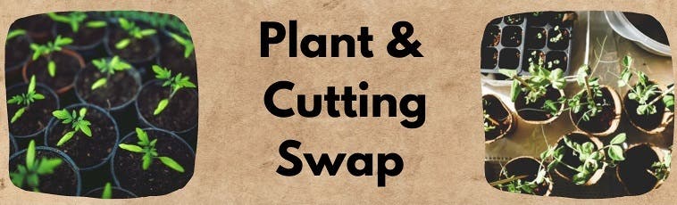 Plant & Cutting Swap