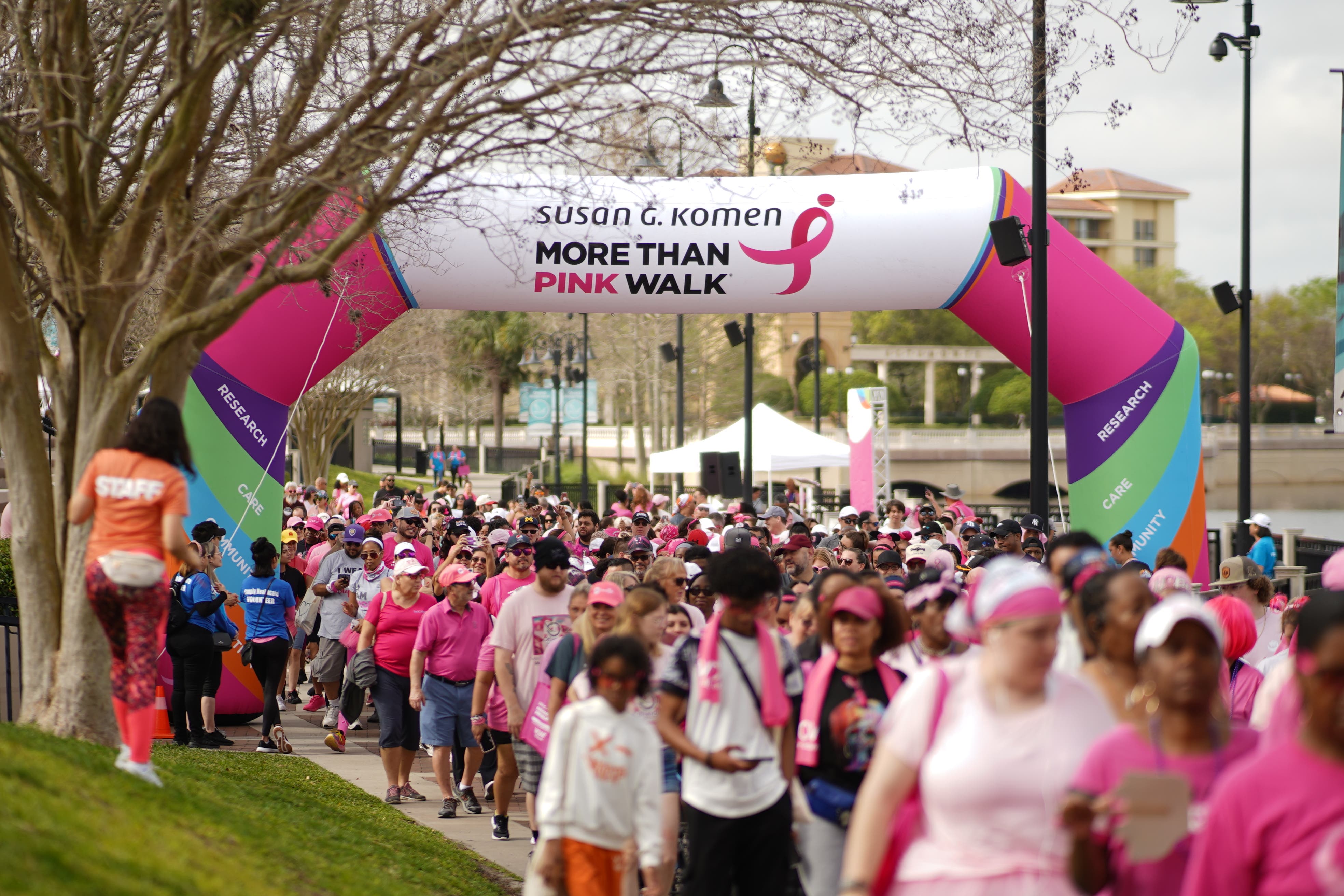 Susan G Komen MORE THAN PINK Walk