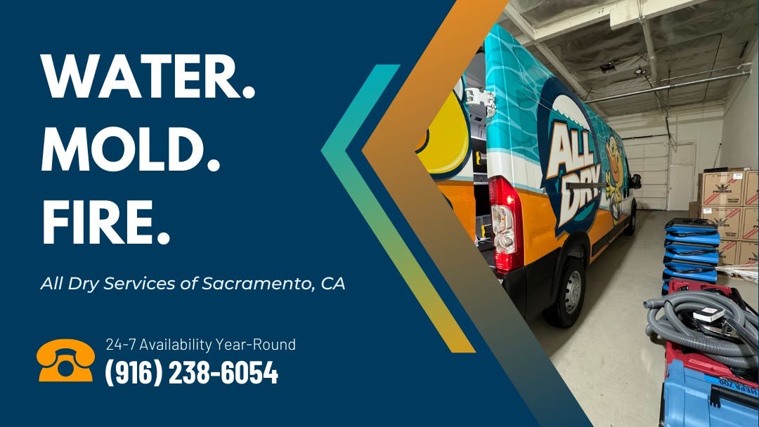 All Dry Services of Sacramento