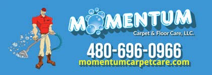 Momentum Carpet & Floor Care LLC