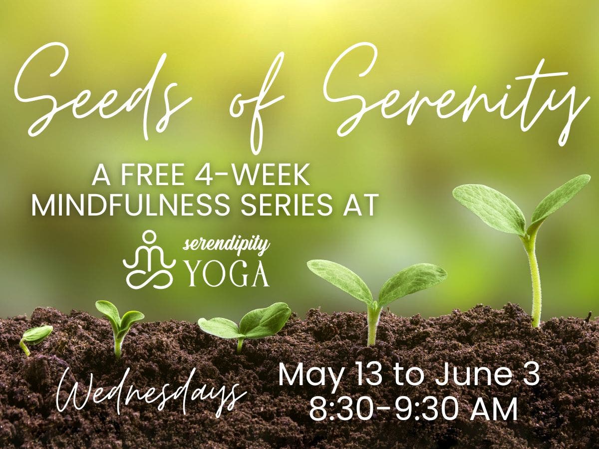 FREE! Seeds Of Serenity 4-week Mindfulness Series