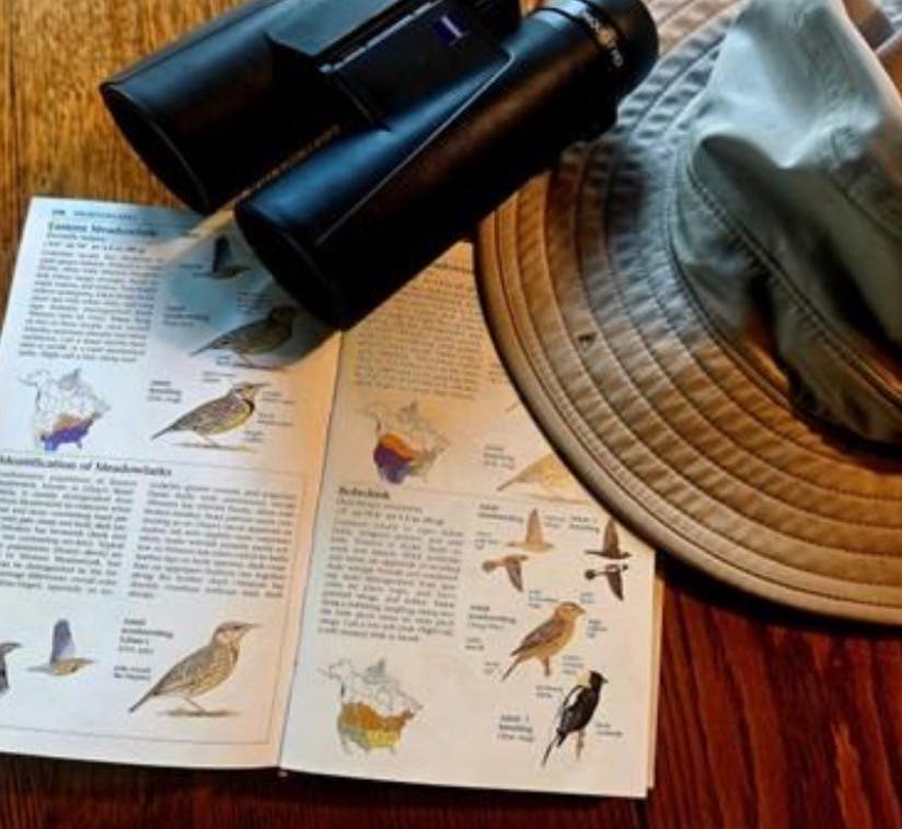 Free Guided Bird Walk