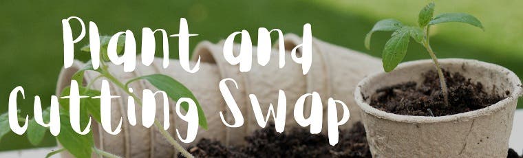 Plant & Cutting Swap