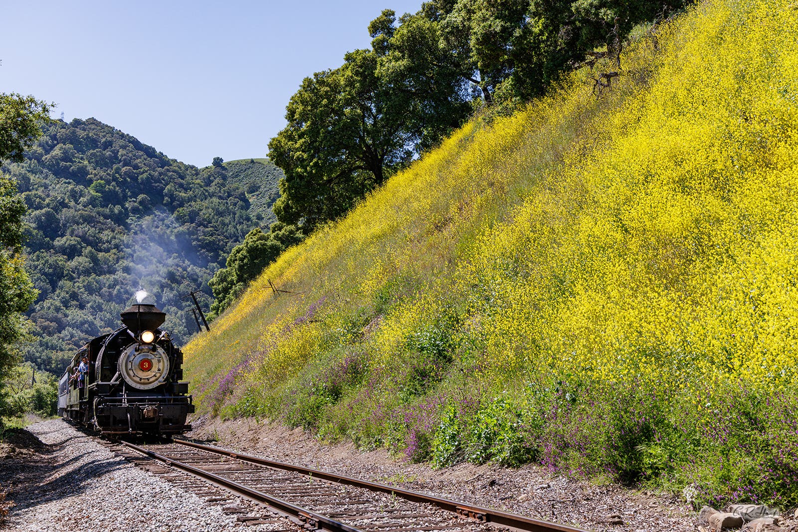 Scenic Train Rides Through Niles Canyon