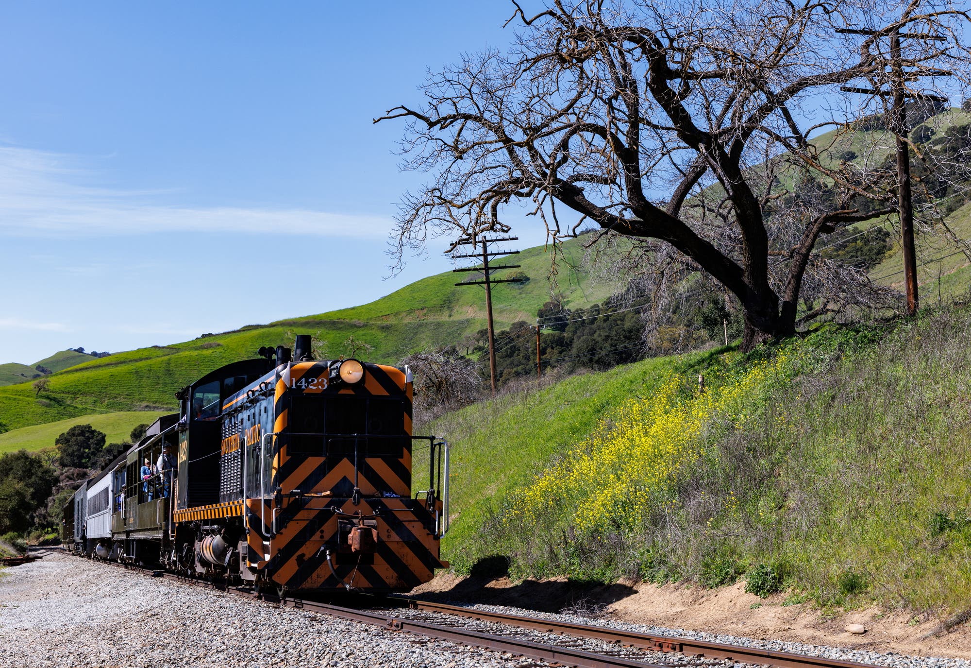 Scenic Train Rides Through Niles Canyon