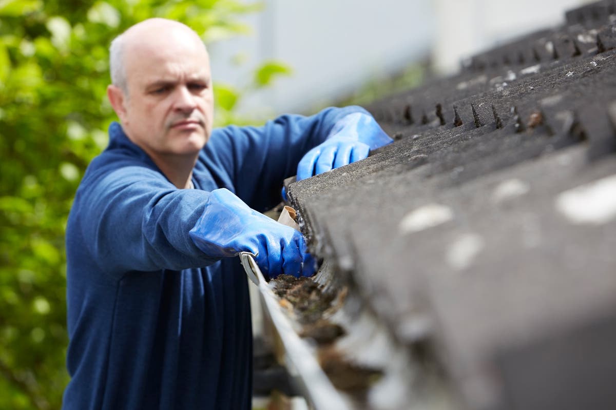 Gutter Perfect