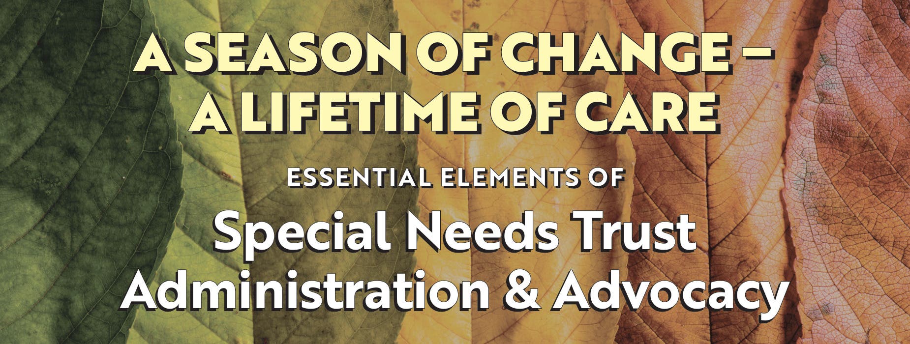 A Season of Change, A Lifetime of Care — Special Needs Trust Administration & Advocacy