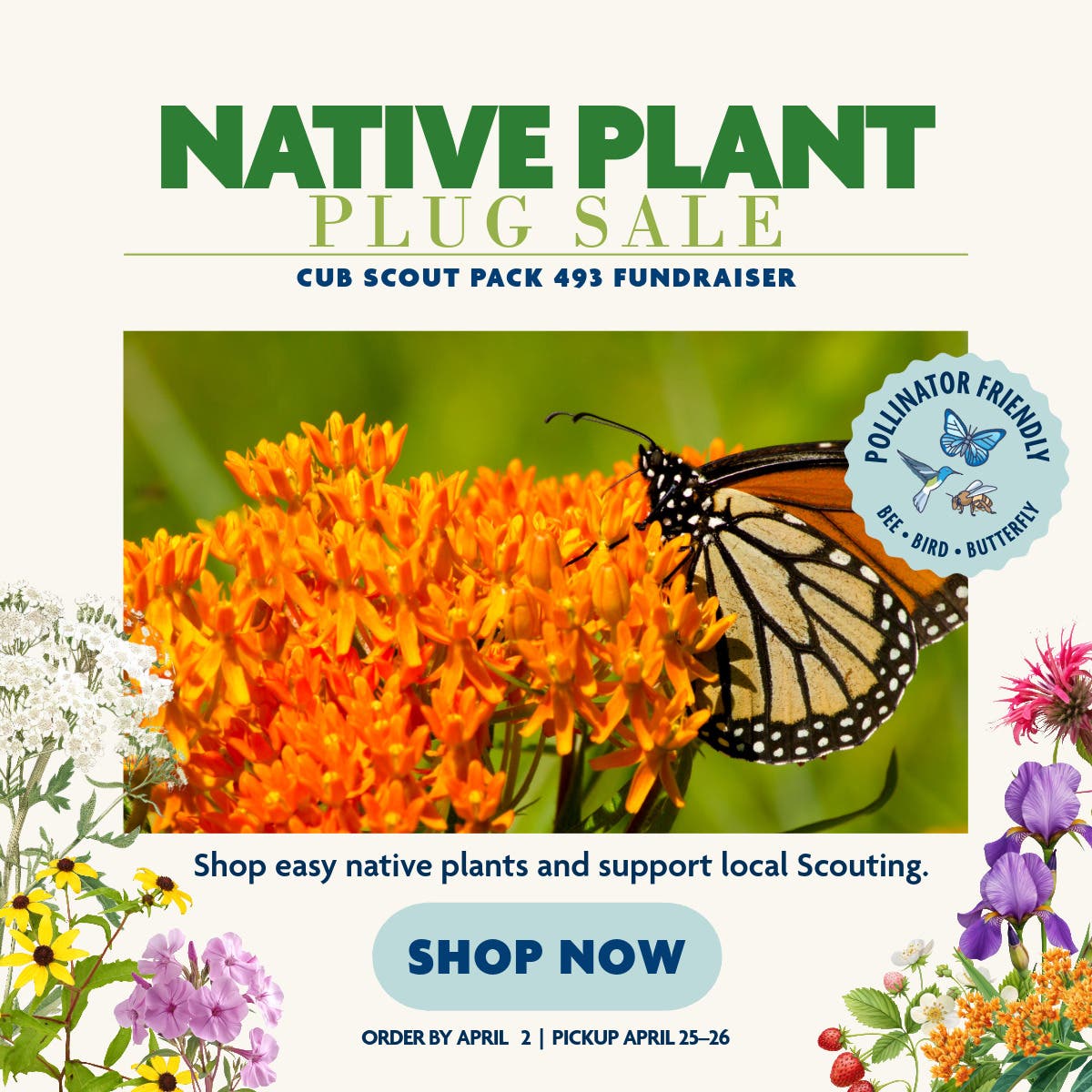 Pack 493 Native Plant Plug Sale | Order by April 2 | Local Pickup April 25-26