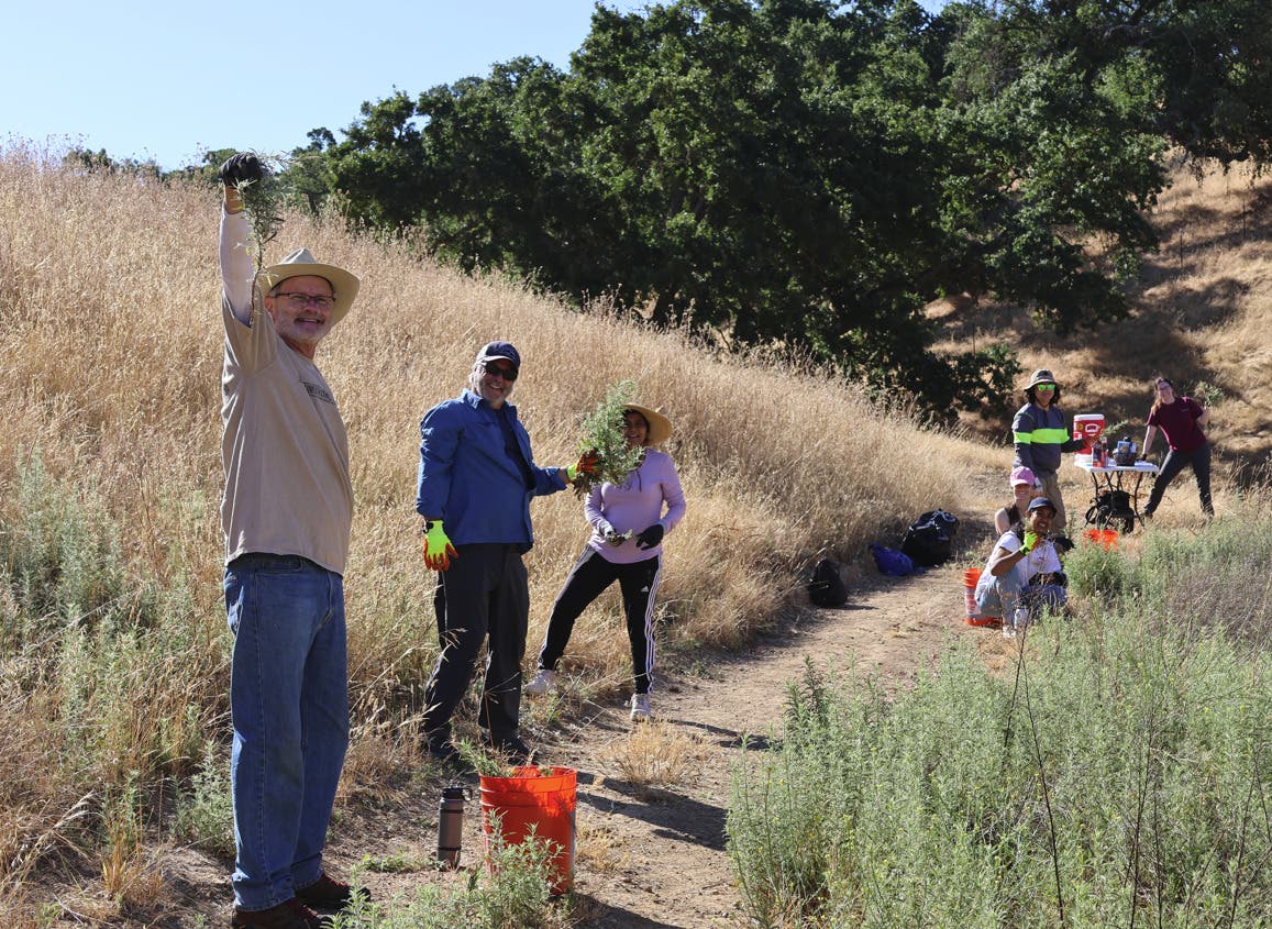 Habitat Restoration Day at Lund Ranch