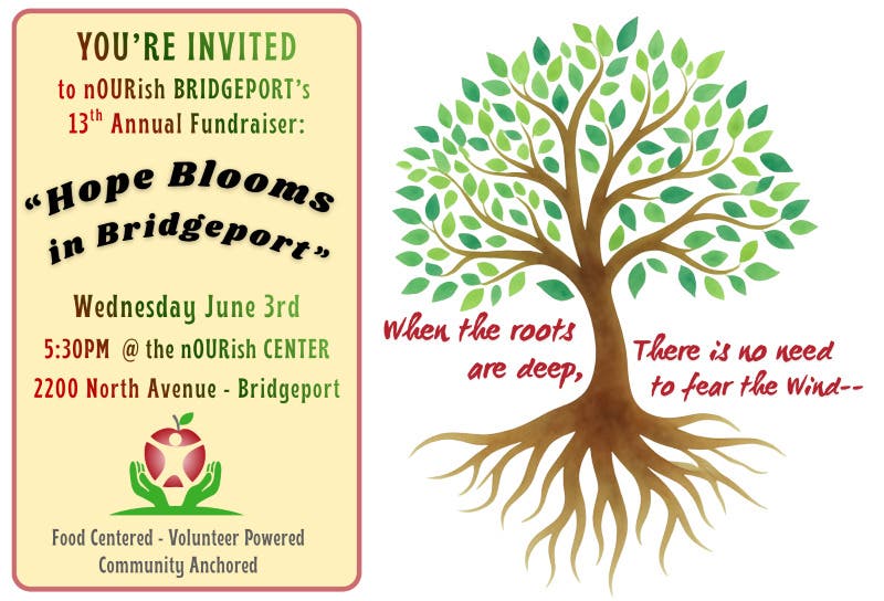 Hope Blooms In Bridgeport