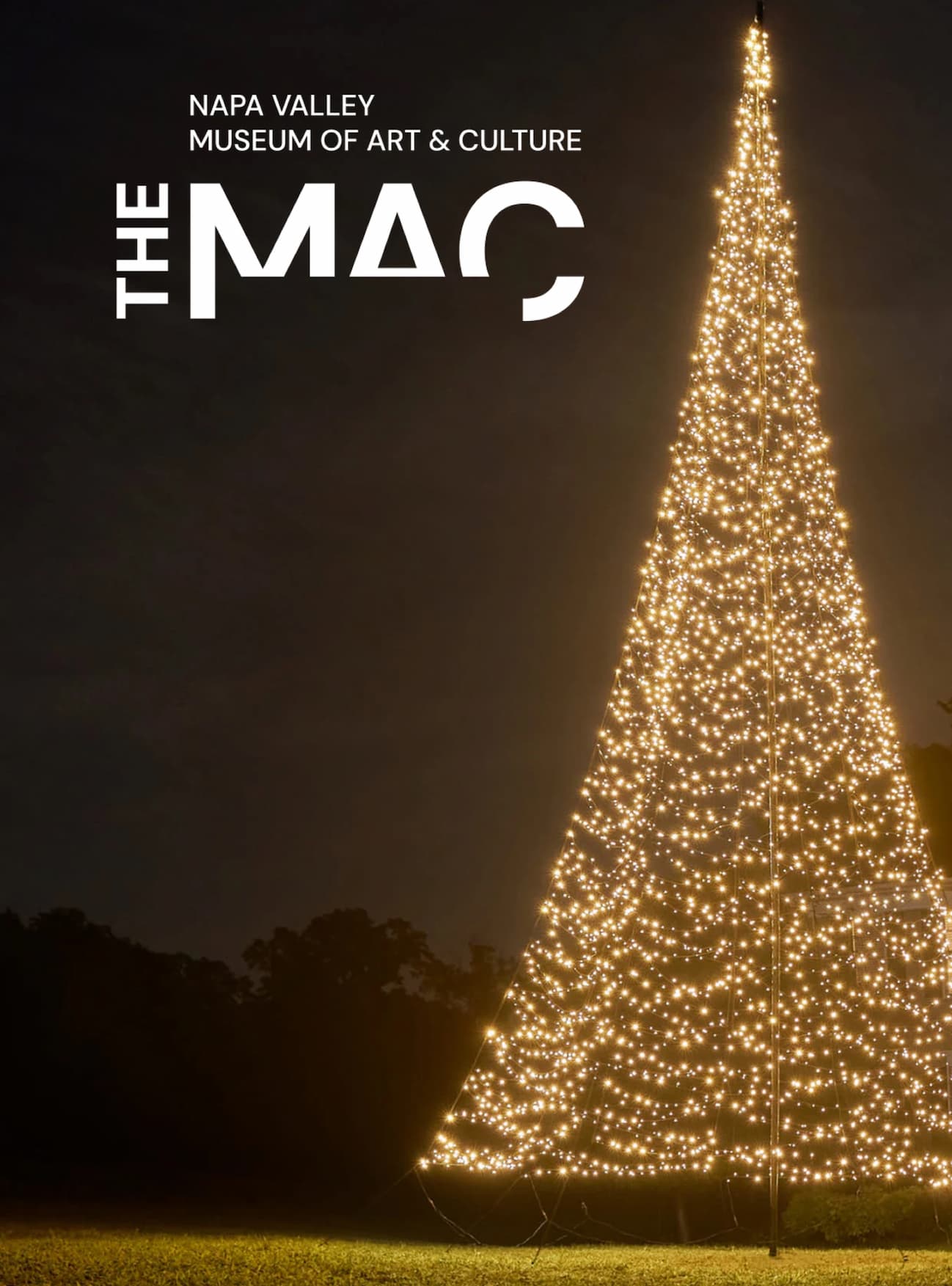 Light Up Your Holiday at the MAC