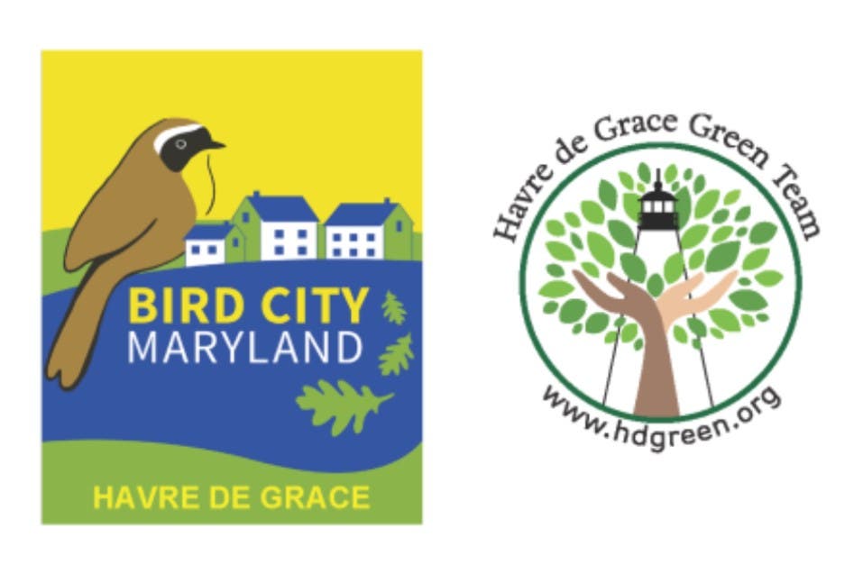 Mid Spring Bird Walk Joe K Trail