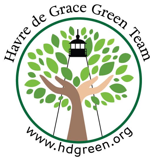 Chimney Swift Roost Watch – HdG Green Team