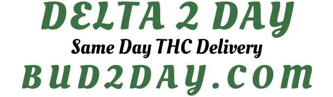 Delta 2 Day
