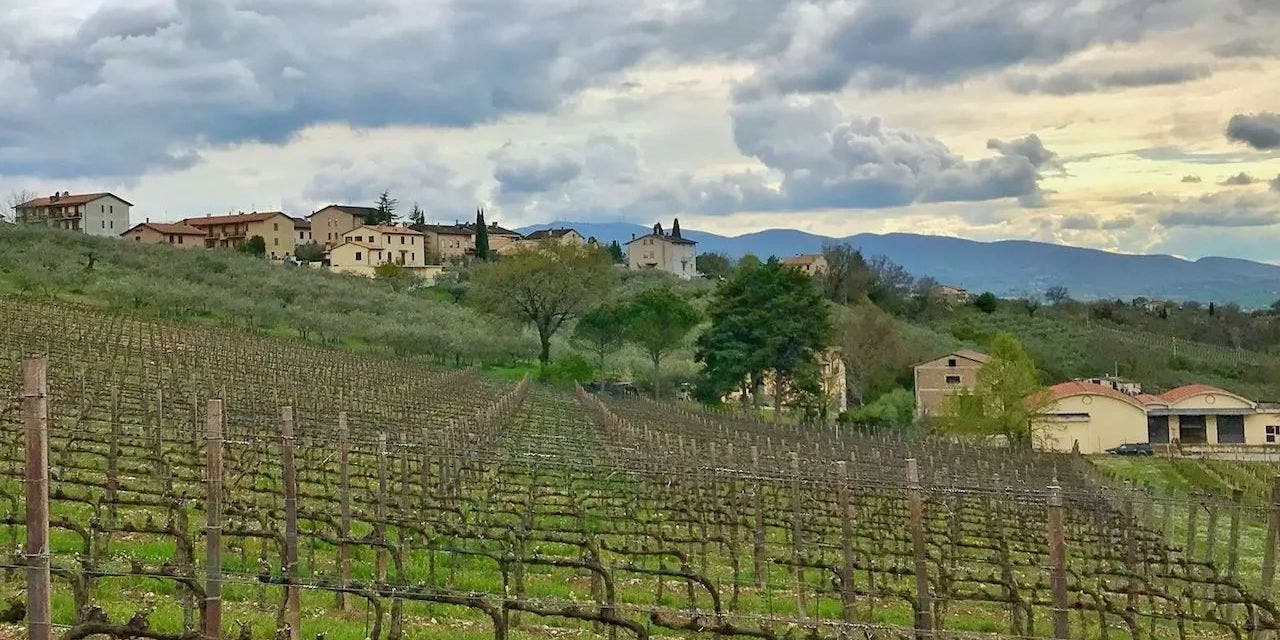 Italian Wine Overview