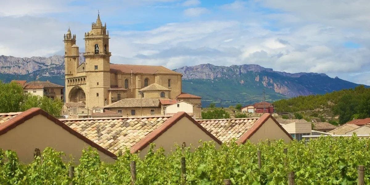 Spanish Wine Overview