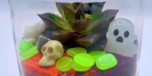 Mini Cemeterrariums