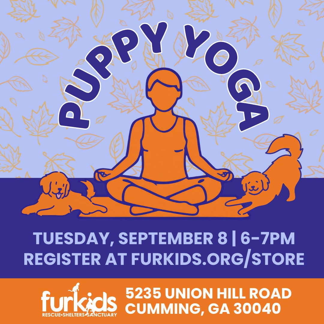 Furkids Puppy Yoga