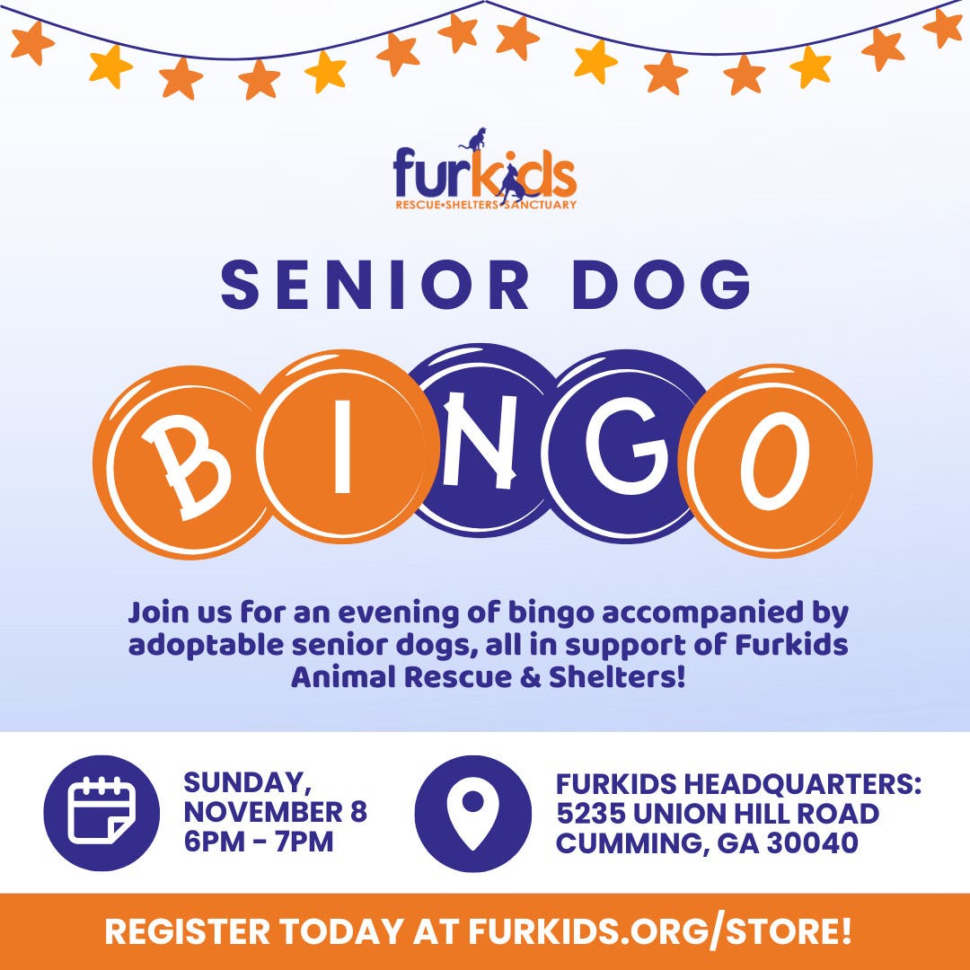 Senior Dog Bingo at Furkids