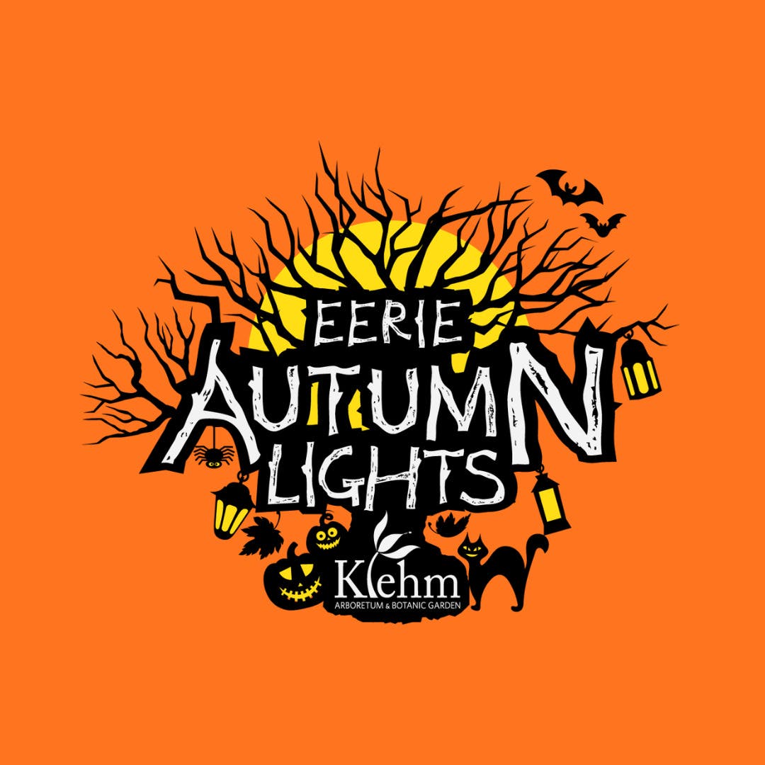 Eerie Autumn Lights 2026