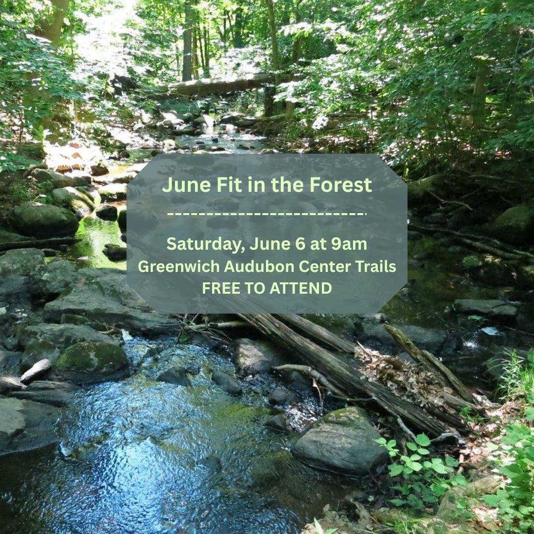 June Fit in the Forest