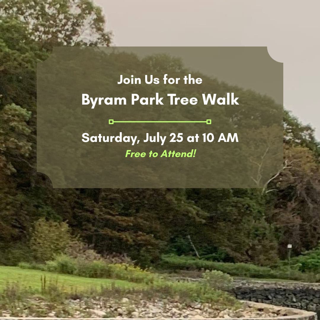Byram Park Tree Walk