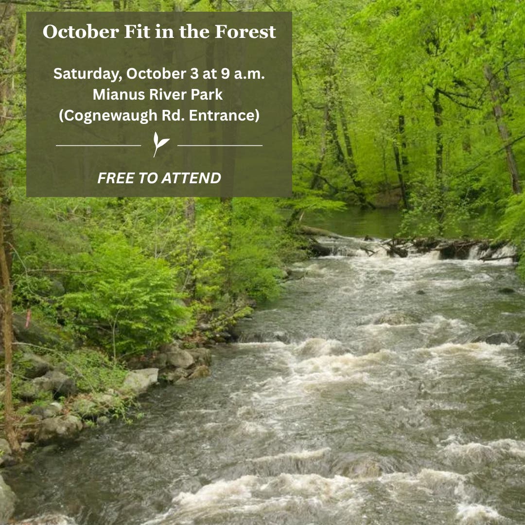 Fit in the Forest October