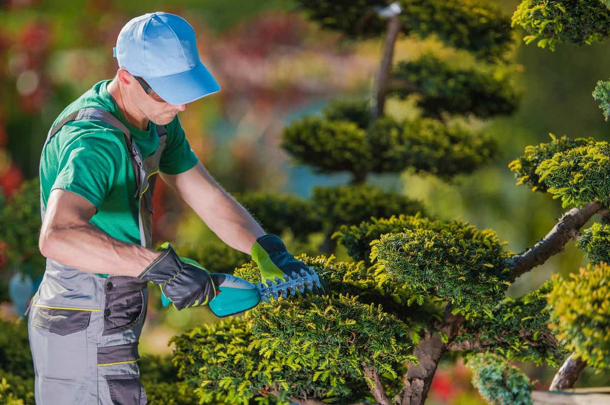 Bee Garden Landscape LLC