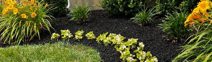 Green Thumb Lawn Care & Landscape