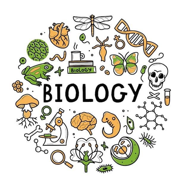 Kid-Friendly Biology Discovery Class