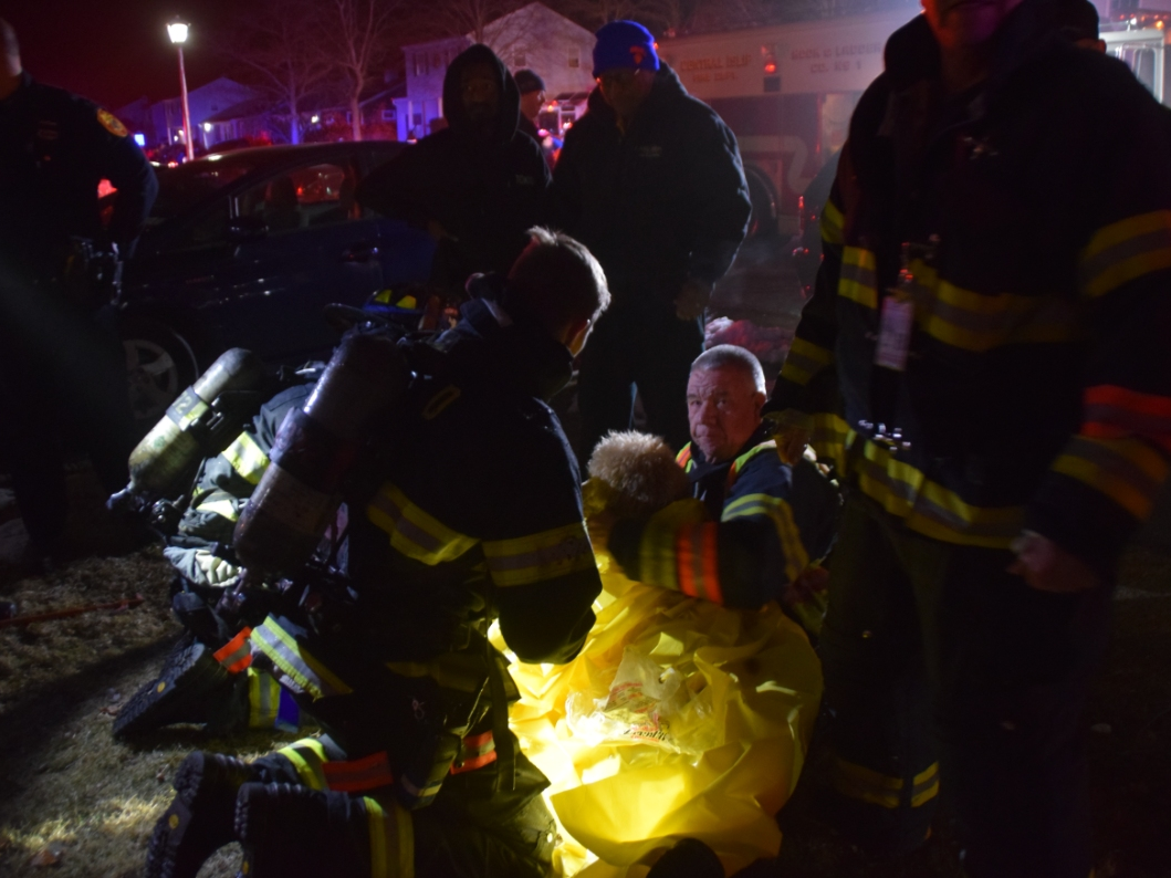 Dogs Rescued From House Fire On Long Island: Video | Brentwood, NY Patch