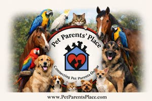 Pet Parents Place 