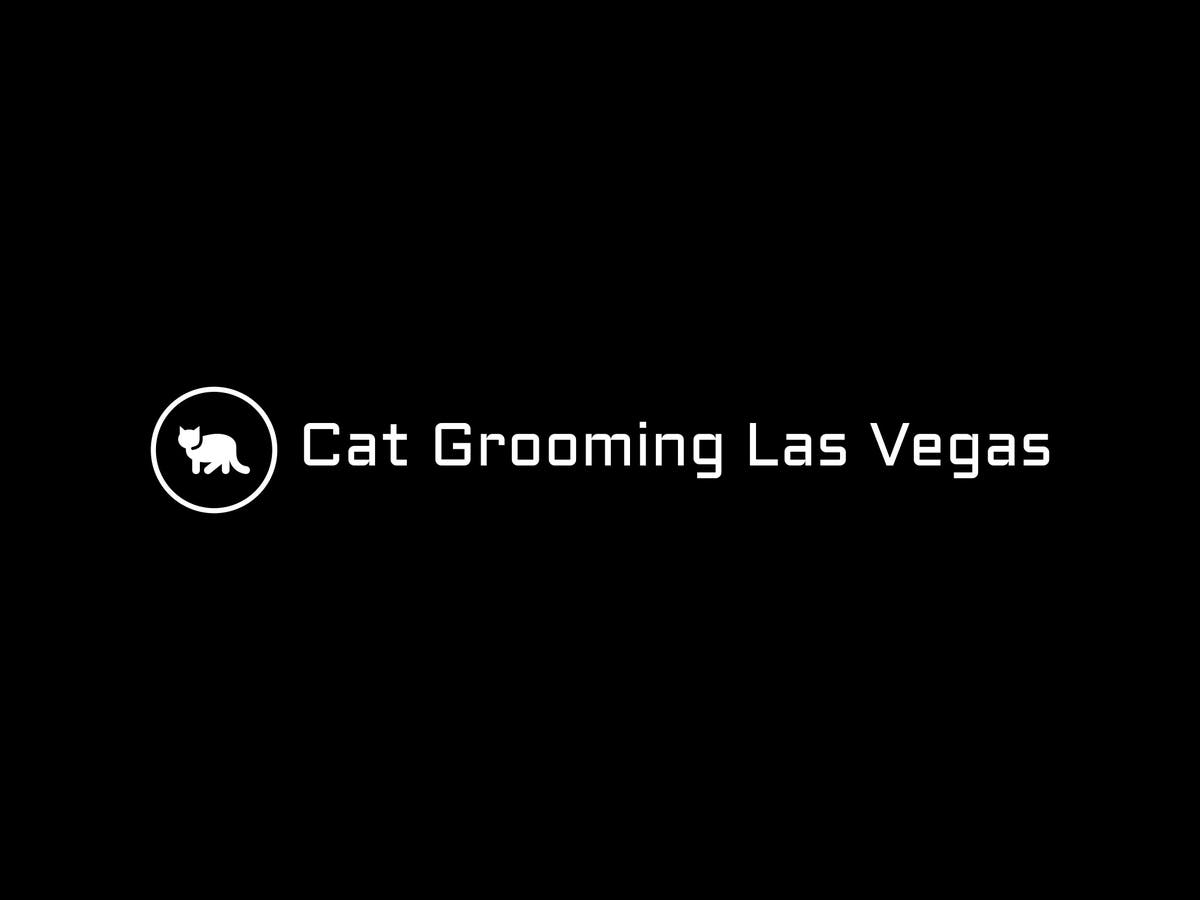 Cat Grooming Las Vegas