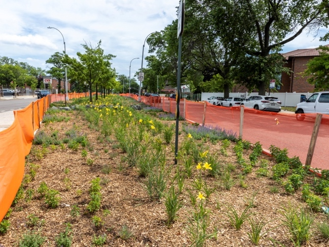 Queens Green Infrastructure Project To Capture 5M Gallons Of Stormwater Annually